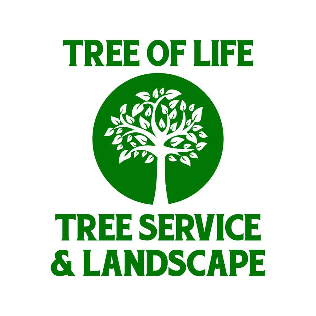 Carmel Tree Service & Landscaping
